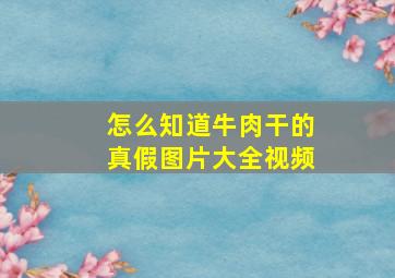 怎么知道牛肉干的真假图片大全视频