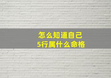 怎么知道自己5行属什么命格