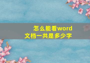 怎么能看word文档一共是多少字