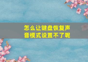 怎么让键盘恢复声音模式设置不了呢