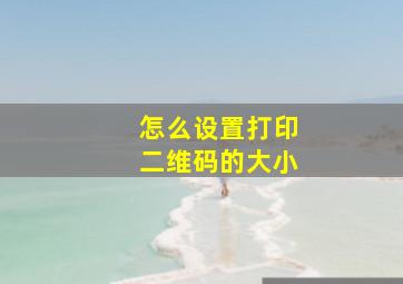 怎么设置打印二维码的大小