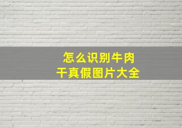 怎么识别牛肉干真假图片大全