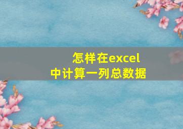 怎样在excel中计算一列总数据