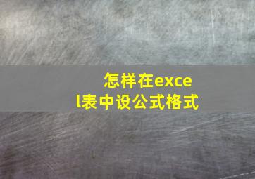 怎样在excel表中设公式格式