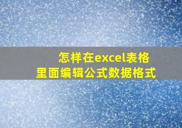 怎样在excel表格里面编辑公式数据格式