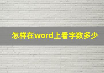 怎样在word上看字数多少