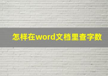 怎样在word文档里查字数