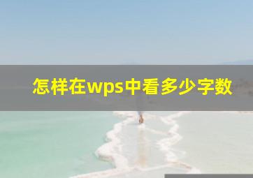 怎样在wps中看多少字数