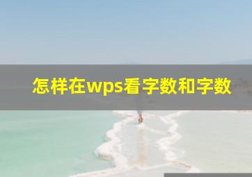 怎样在wps看字数和字数