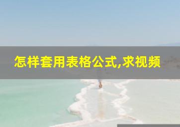 怎样套用表格公式,求视频