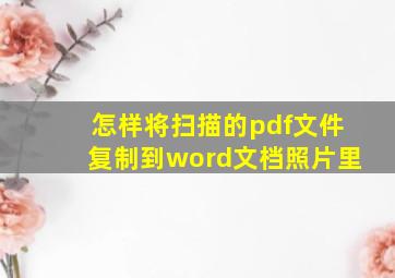 怎样将扫描的pdf文件复制到word文档照片里