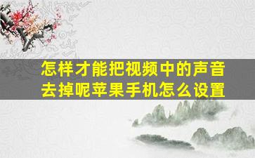 怎样才能把视频中的声音去掉呢苹果手机怎么设置