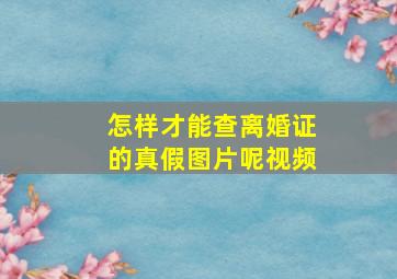 怎样才能查离婚证的真假图片呢视频