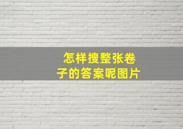 怎样搜整张卷子的答案呢图片