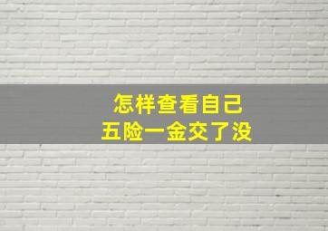 怎样查看自己五险一金交了没