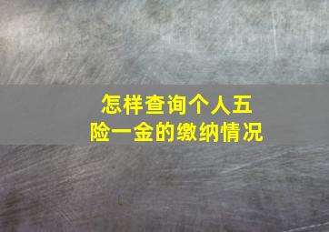 怎样查询个人五险一金的缴纳情况