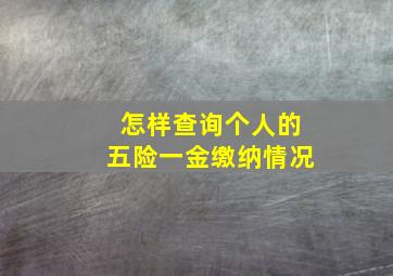 怎样查询个人的五险一金缴纳情况