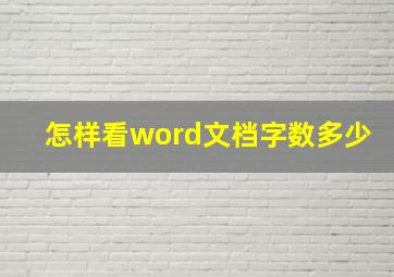 怎样看word文档字数多少