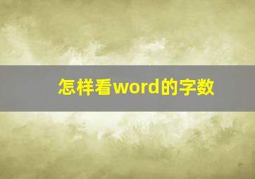 怎样看word的字数