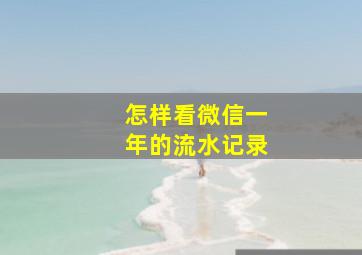 怎样看微信一年的流水记录