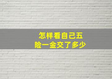 怎样看自己五险一金交了多少