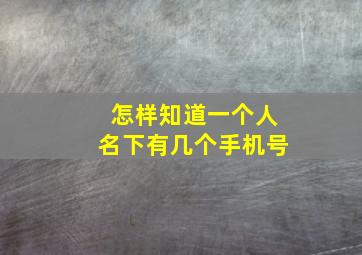 怎样知道一个人名下有几个手机号