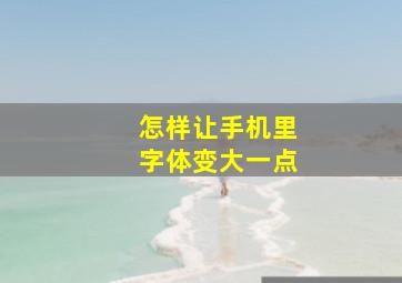 怎样让手机里字体变大一点