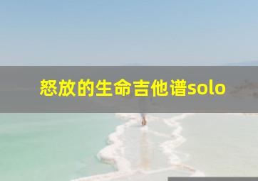 怒放的生命吉他谱solo