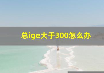 总ige大于300怎么办