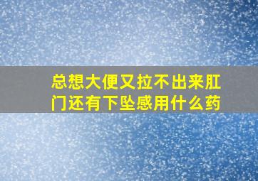 总想大便又拉不出来肛门还有下坠感用什么药