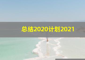 总结2020计划2021