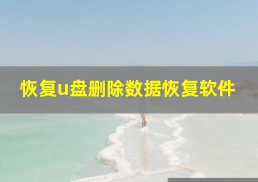 恢复u盘删除数据恢复软件