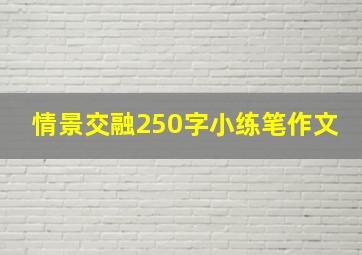 情景交融250字小练笔作文