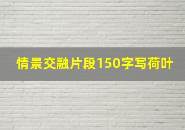 情景交融片段150字写荷叶