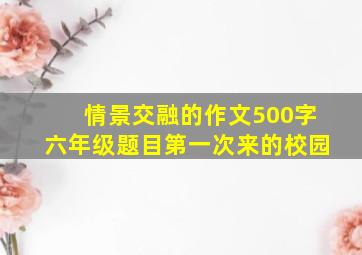 情景交融的作文500字六年级题目第一次来的校园