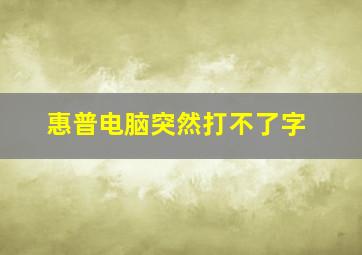 惠普电脑突然打不了字