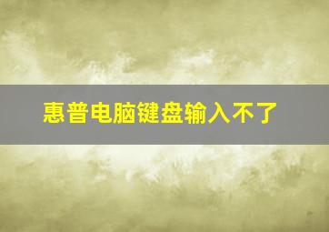 惠普电脑键盘输入不了