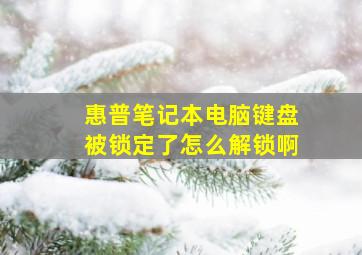 惠普笔记本电脑键盘被锁定了怎么解锁啊