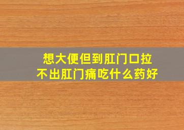 想大便但到肛门口拉不出肛门痛吃什么药好