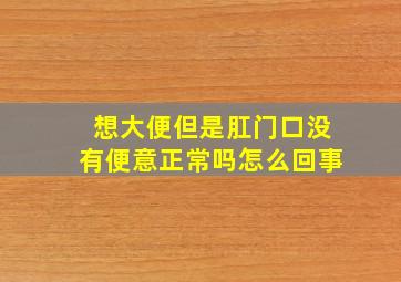 想大便但是肛门口没有便意正常吗怎么回事