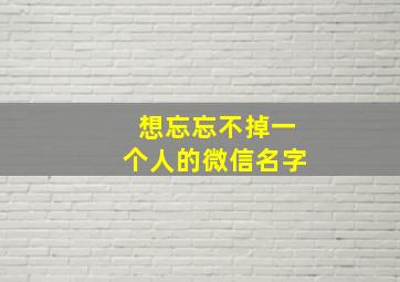 想忘忘不掉一个人的微信名字