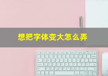 想把字体变大怎么弄