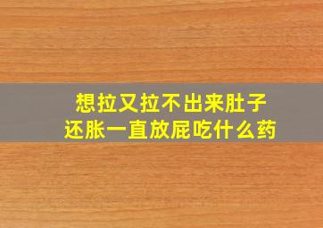 想拉又拉不出来肚子还胀一直放屁吃什么药