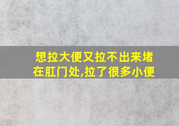 想拉大便又拉不出来堵在肛门处,拉了很多小便