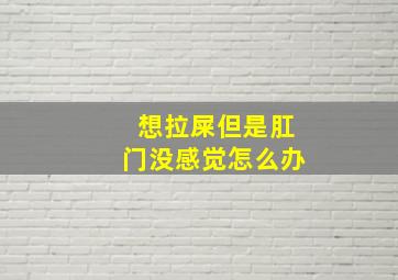 想拉屎但是肛门没感觉怎么办