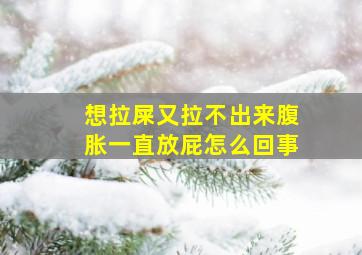 想拉屎又拉不出来腹胀一直放屁怎么回事