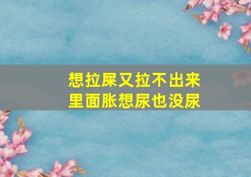 想拉屎又拉不出来里面胀想尿也没尿