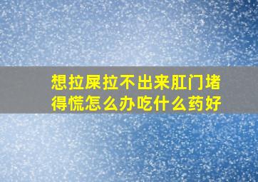 想拉屎拉不出来肛门堵得慌怎么办吃什么药好