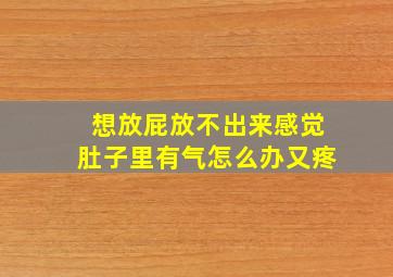 想放屁放不出来感觉肚子里有气怎么办又疼