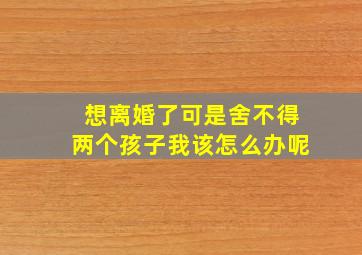 想离婚了可是舍不得两个孩子我该怎么办呢